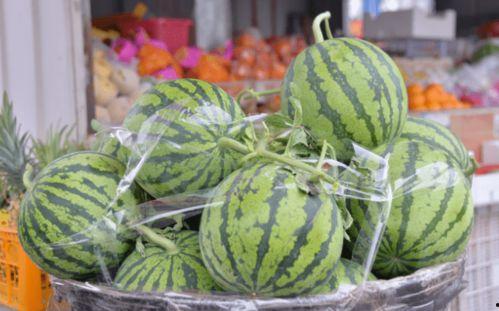 坏瓜怎么吃,创意料理中的美味逆袭